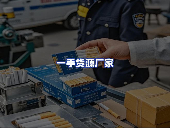 专业团队